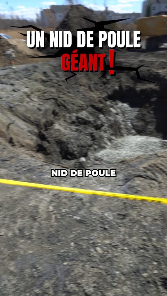 Tiktok nid de poule Cest pire qua Montrealimage 576x1024 1