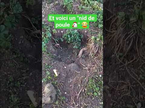 Image youtube