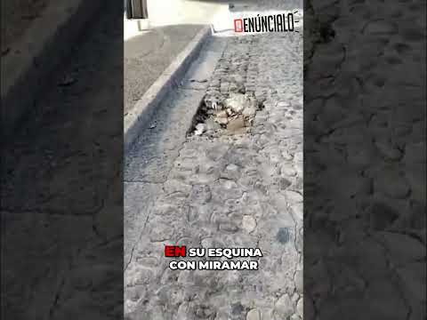 Image Youtube