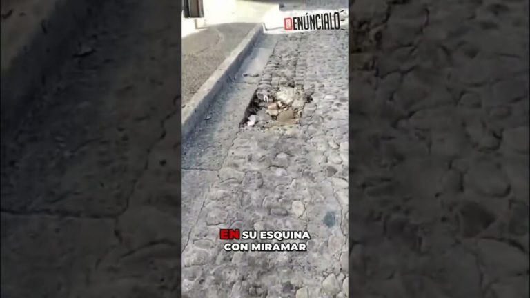 nid de poule Baches de anos afectan calles del centro 1024x576 1